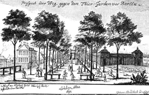 Allee: Berlin, Germany