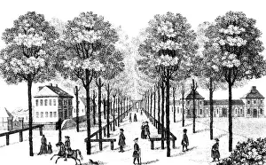Allee: Berlin, Germany