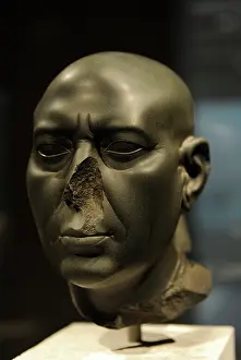 Thirtieth: Berlin Green Head. Bust. Egypt