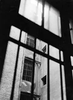 Backyard: Berlin tenement, 1932