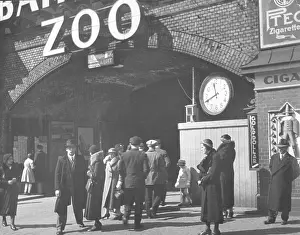Dollars: The Berlin Zoological Garden