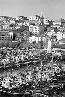 Harbourside: Bermeo harbour, Spain