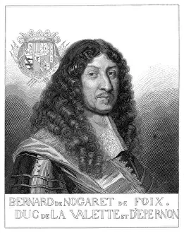 Foix: BERNARD DUC D'EPERNON