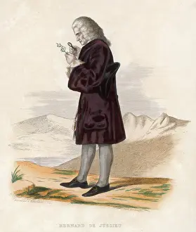 Magnifying: BERNARD DE JUSSIEU