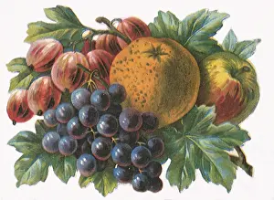 Oranges: Berries, Apples, Citrus