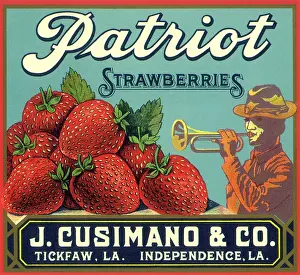 Trumpeter: Berries and Trumpeter