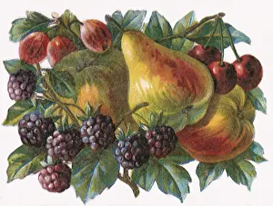 Pear: Berry Medley