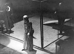 Bert: Bert Brecht