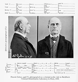 Bertillon: Bertillon Photo - Francis Galton