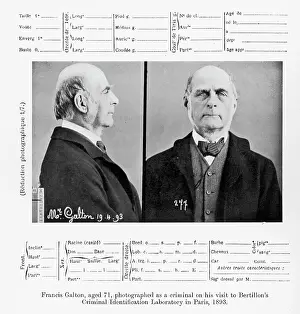 Bertillon: Bertillon Photo - Francis Galton