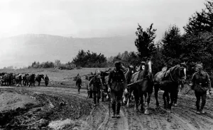 Skirmish: Beskid Front, 1944