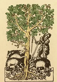 1546: The Best Ham Grows On Oaks