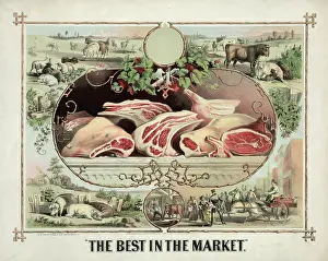 C1872: The best in the market