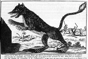 Bete: Bete Du Gevaudan - Devigne