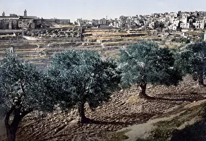 Bethlehem: Bethlehem, Palestine, circa 1890s