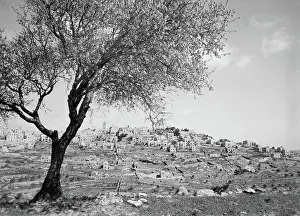 Matson: Bethlehem - Palestine - landscape - cityscape
