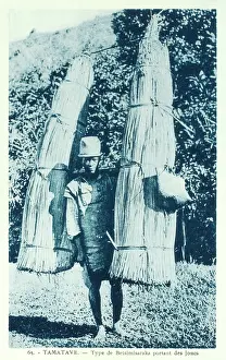 Madagascan: Betsimisaraka man carrying reeds