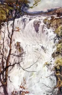 Bettws: BETTWS-Y-COED/FALLS 1905