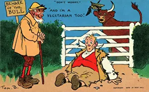 Filly: Beware of the Bull - Man comes a cropper