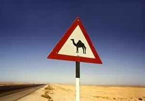 Signage: Beware of Camels sign, Jordan