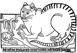 Devious: Beware of cats that lick your face and scratch your back