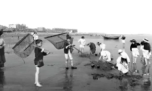 Shrimping: Bexhill, the Beach 1910