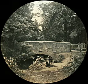 Gads: Bexley Wood