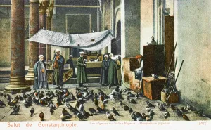 Beyazid: The Beyazidiye Mosque with pigeons, Constantinople