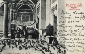 Beyazid: The Beyazidiye Mosque with pigeons, Constantinople