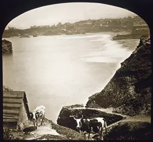 Biarritz: BIARRITZ/BAY C1900