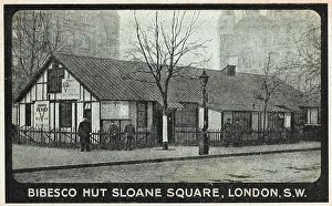 Bibesco: Bibesco Hut, YMCA - Sloane Square