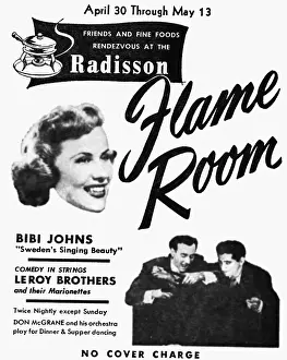 Plakat: Bibi Johns