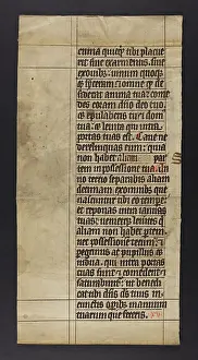 Vertically: Bible (Fragment)