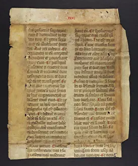 Paragraph: Bible (Fragment)