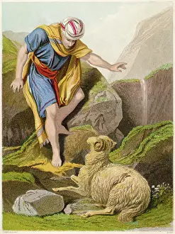 Parables: Bible, New Testament: the parable of the good shepherd