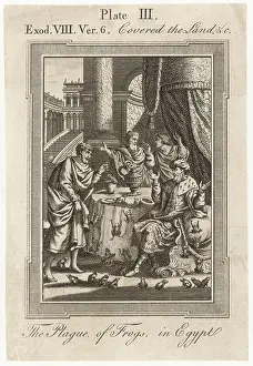 Plagues: BIBLE/PLAGUE/EGYPT/FROGS