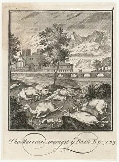 Plagues: BIBLE/PLAGUE/MURRAIN