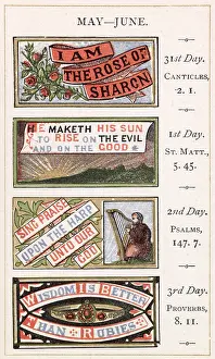 Texts: BIBLE TEXTS - 1