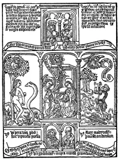 Printings: Biblia pauperum, 1462