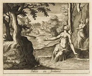 Lust: Biblis into a Spring