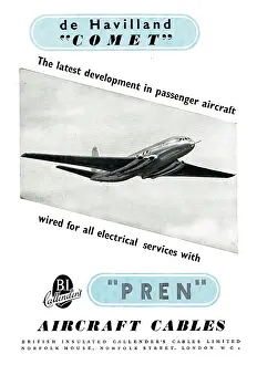 Insulated: BICC PREN Electrical Cables - 1950 Advert