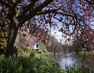 Bickleigh: Bickleigh Cottage on the River Exe, Devon
