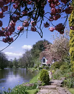 Bickleigh: Bickleigh Cottage on the River Exe, Devon
