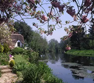 Bickleigh: Bickleigh Cottage on the River Exe, Devon