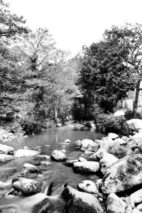Bickleigh: Bickleigh, the River Plym 1890