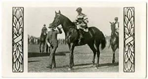 Jockeys: Bicolor, Australian race horse
