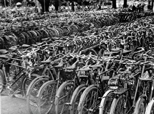 Tricycles: Bicycles