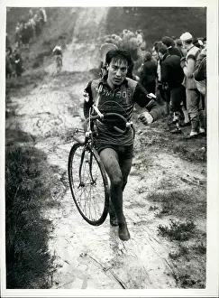 Scramble: Bicycles - Cycling