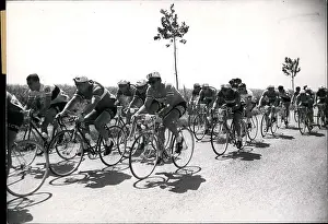 Racers: Bicycles - Cycling