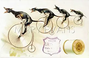 Farthings: BICYCLING DOGS